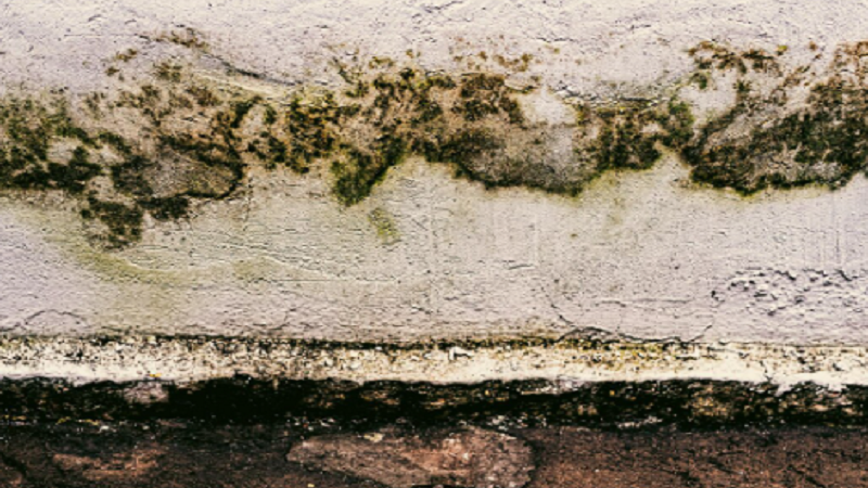 Basement or Crawl Space Moisture Issues