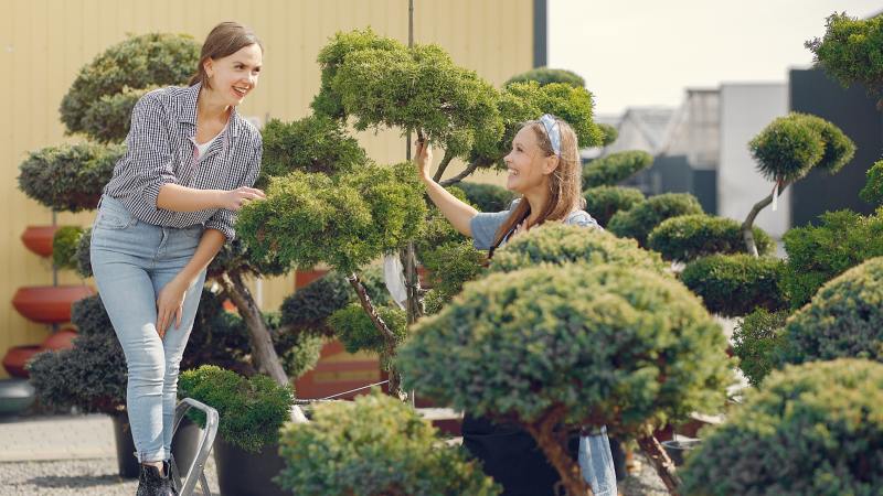 The Long-Term Benefits of Investing in Professional Landscaping