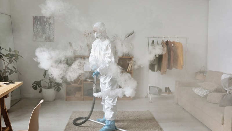 How Mold Exposure Affects Indoor Air Quality and Your Health