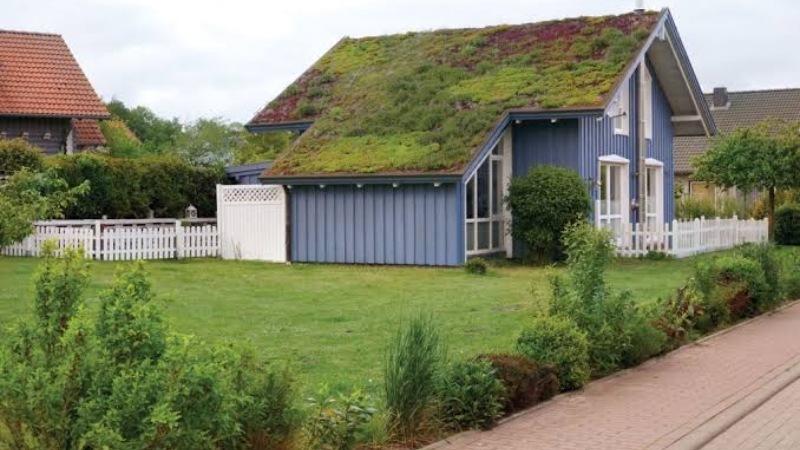 Green Building Trends Shaping Florida’s Future: Sustainability in the Sunshine State