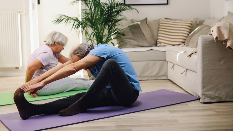 The Health Benefits of Community Living: Enhancing Well-Being through Connection